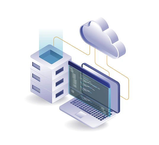 Website Hosting