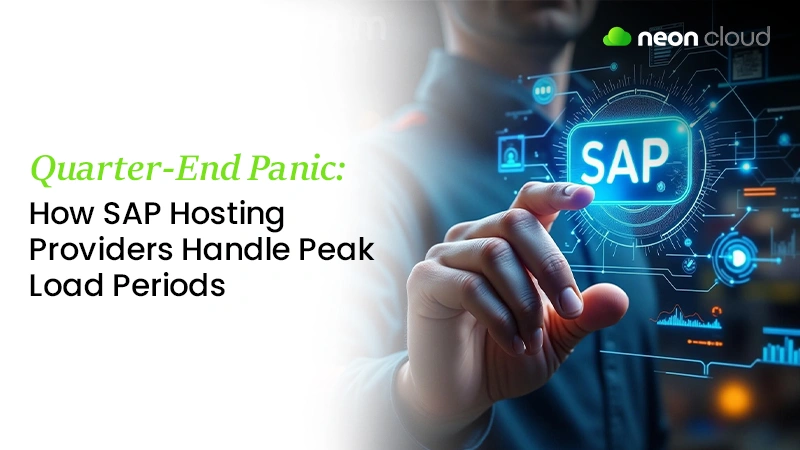 SAP Hosting Providers