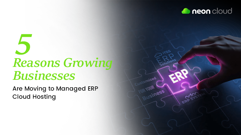 managed ERP cloud hosting